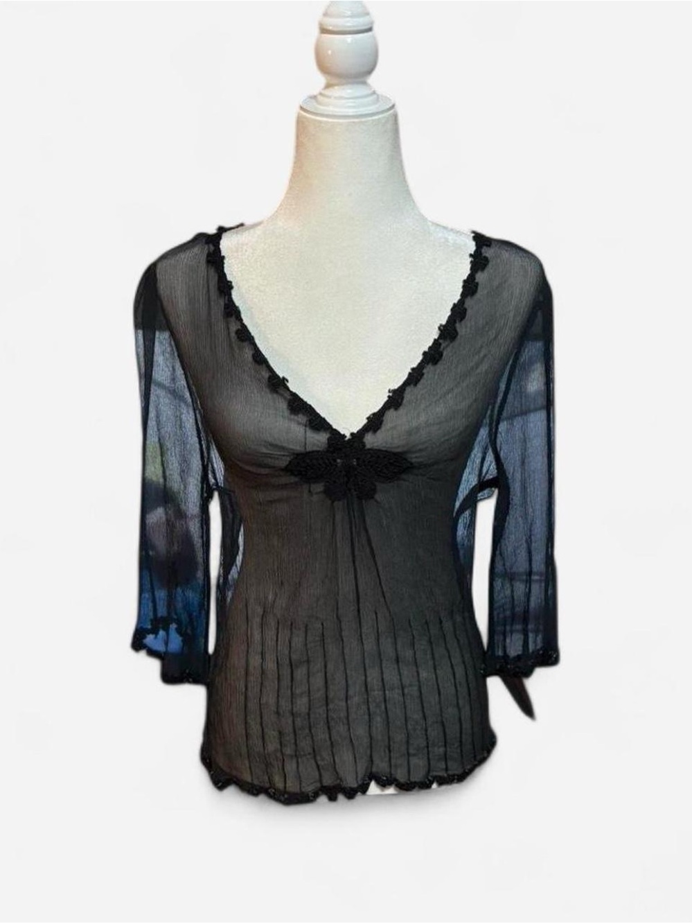 Sheer Black V-Neck Lace Trim Women’s Top